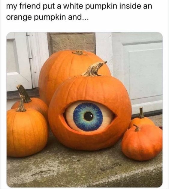 The pumpkin now has an eye | image tagged in memes,funny | made w/ Imgflip meme maker