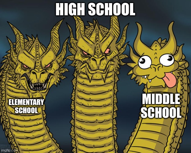 Based on how good they are | HIGH SCHOOL; MIDDLE SCHOOL; ELEMENTARY SCHOOL | image tagged in three-headed dragon | made w/ Imgflip meme maker