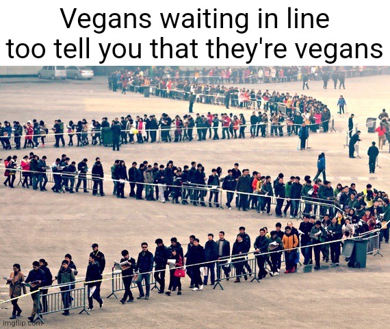 Never met a vegan in person | Vegans waiting in line too tell you that they're vegans | image tagged in long line | made w/ Imgflip meme maker