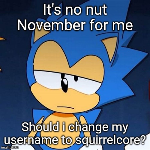 bruh | It's no nut November for me; Should i change my username to squirrelcore? | image tagged in bruh | made w/ Imgflip meme maker
