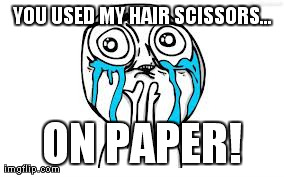Crying Because Of Cute Meme | YOU USED MY HAIR SCISSORS... ON PAPER! | image tagged in memes,crying because of cute | made w/ Imgflip meme maker