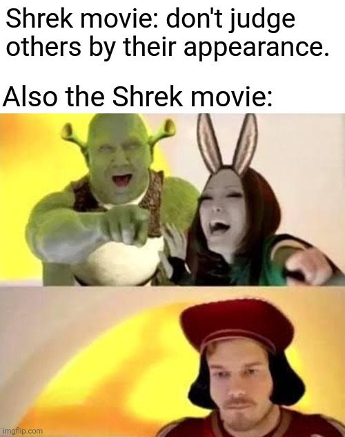 Where Is the logic? | Shrek movie: don't judge others by their appearance. Also the Shrek movie: | image tagged in memes,shrek,funny,movies,funny meme,judge | made w/ Imgflip meme maker