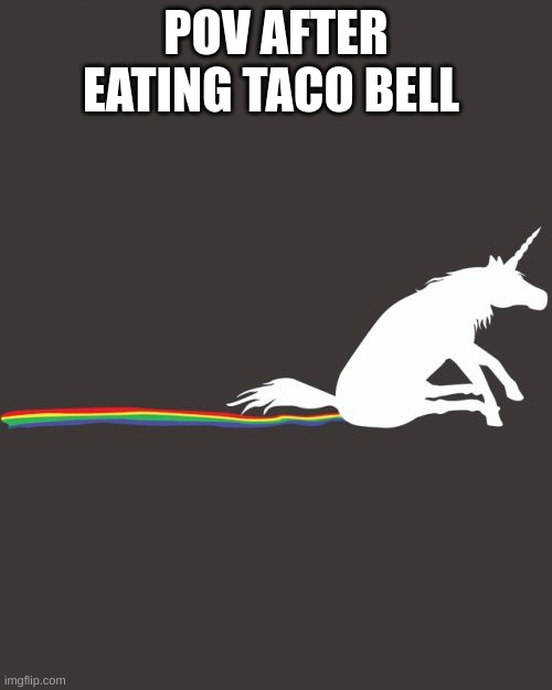 Unicorn Shit | POV AFTER EATING TACO BELL | image tagged in unicorn shit | made w/ Imgflip meme maker