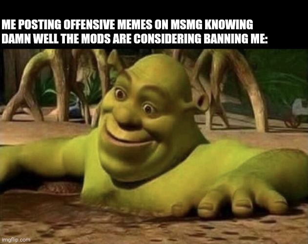 Strike me down zuess, you don't have the balls | ME POSTING OFFENSIVE MEMES ON MSMG KNOWING DAMN WELL THE MODS ARE CONSIDERING BANNING ME: | image tagged in shocked shrek | made w/ Imgflip meme maker