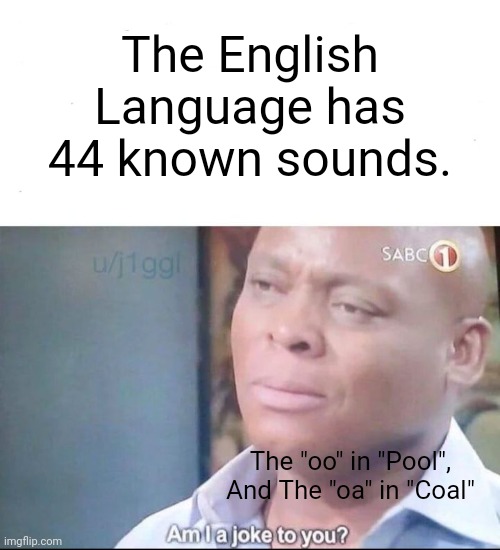 Why did they not include them? (The c"oa"l doesn't sound like oe) | The English Language has 44 known sounds. The "oo" in "Pool", And The "oa" in "Coal" | image tagged in am i a joke to you,alphabet,english,memes,sound | made w/ Imgflip meme maker