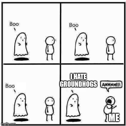 Boo | I HATE GROUNDHOGS; ME | image tagged in ghost boo | made w/ Imgflip meme maker