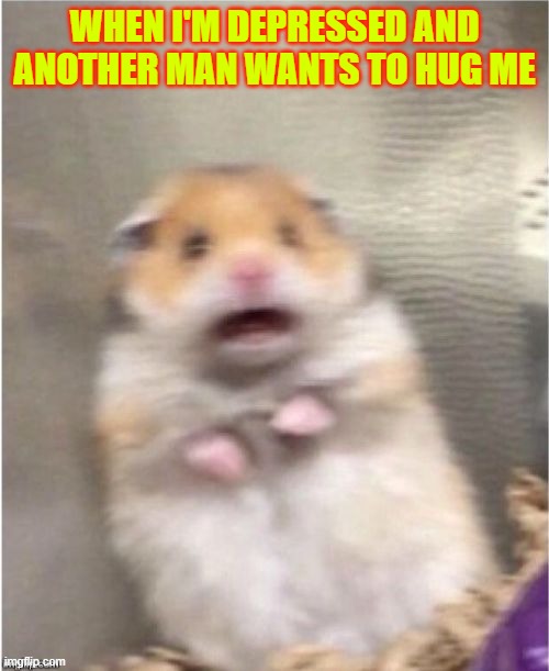 SHIT | WHEN I'M DEPRESSED AND ANOTHER MAN WANTS TO HUG ME | image tagged in scared hamster | made w/ Imgflip meme maker
