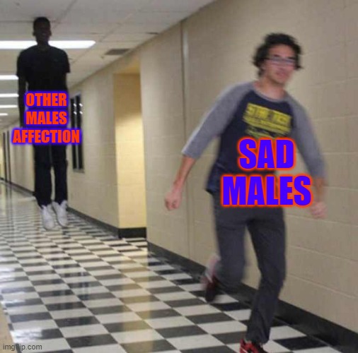 LORD | OTHER MALES AFFECTION; SAD MALES | image tagged in floating boy chasing running boy | made w/ Imgflip meme maker