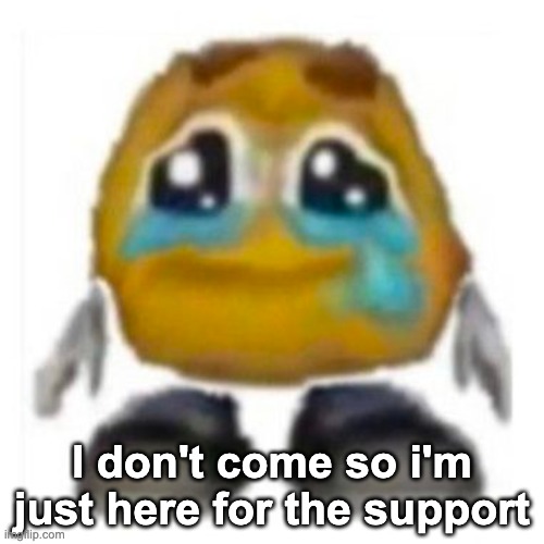 Crying emoji | I don't come so i'm just here for the support | image tagged in crying emoji | made w/ Imgflip meme maker
