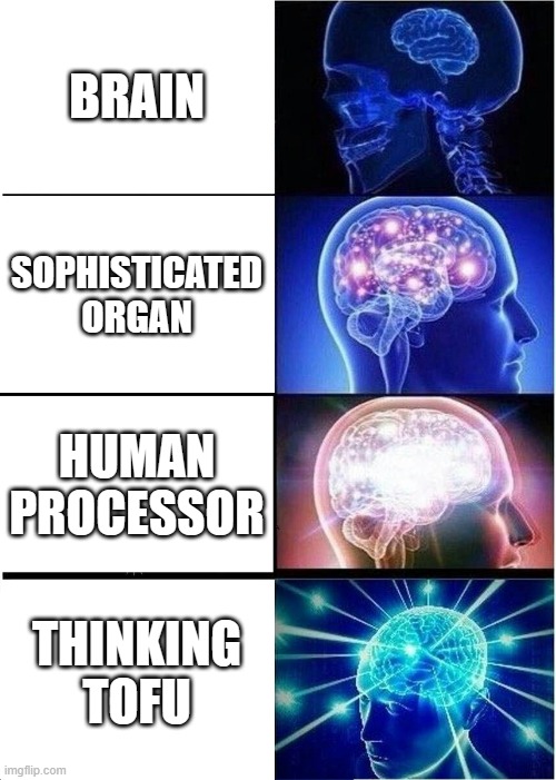 Mmm.. steamed tofu | BRAIN; SOPHISTICATED ORGAN; HUMAN PROCESSOR; THINKING TOFU | image tagged in memes,expanding brain | made w/ Imgflip meme maker