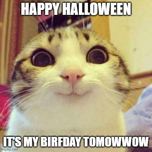 Smiling Cat Meme | HAPPY HALLOWEEN; IT'S MY BIRFDAY TOMOWWOW | image tagged in memes,smiling cat | made w/ Imgflip meme maker