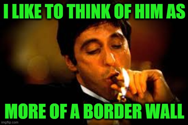 Al Pacino cigar | I LIKE TO THINK OF HIM AS MORE OF A BORDER WALL | image tagged in al pacino cigar | made w/ Imgflip meme maker