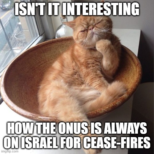 Wondering cat | ISN'T IT INTERESTING HOW THE ONUS IS ALWAYS ON ISRAEL FOR CEASE-FIRES | image tagged in wondering cat | made w/ Imgflip meme maker