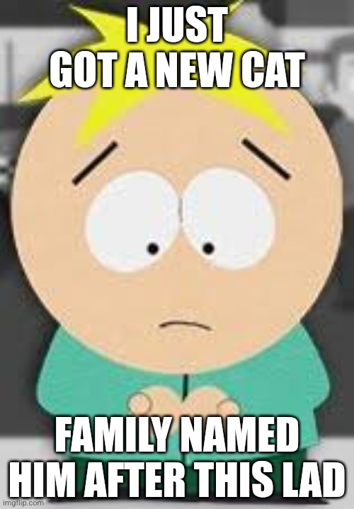 Behold, butters | I JUST GOT A NEW CAT; FAMILY NAMED HIM AFTER THIS LAD | image tagged in butters | made w/ Imgflip meme maker