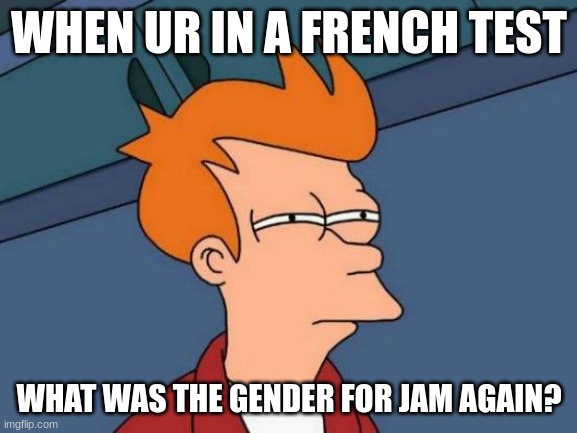 french testttttttt coming uppppppp | WHEN UR IN A FRENCH TEST; WHAT WAS THE GENDER FOR JAM AGAIN? | image tagged in memes,futurama fry | made w/ Imgflip meme maker