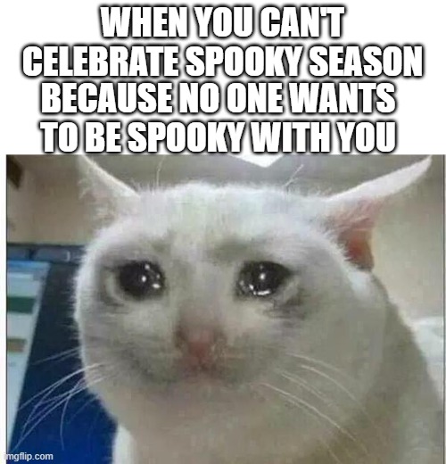 :( | WHEN YOU CAN'T CELEBRATE SPOOKY SEASON; BECAUSE NO ONE WANTS TO BE SPOOKY WITH YOU | image tagged in crying cat | made w/ Imgflip meme maker