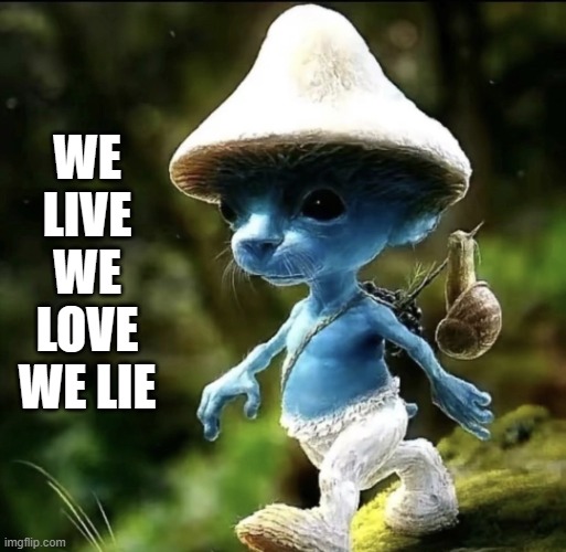Blue Smurf cat | WE LIVE WE LOVE WE LIE | image tagged in blue smurf cat | made w/ Imgflip meme maker