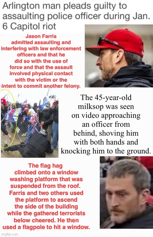 Flag Hag Pleas | image tagged in assault,third base roach,domestic terrorists,treason,tuff guy when in a crowd | made w/ Imgflip meme maker