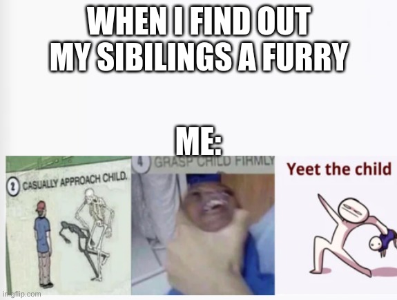 Wait... What! | WHEN I FIND OUT MY SIBILINGS A FURRY; ME: | image tagged in casually approach child grasp child firmly yeet the child | made w/ Imgflip meme maker