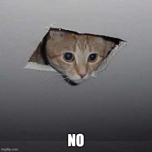 Ceiling Cat Meme | NO | image tagged in memes,ceiling cat | made w/ Imgflip meme maker