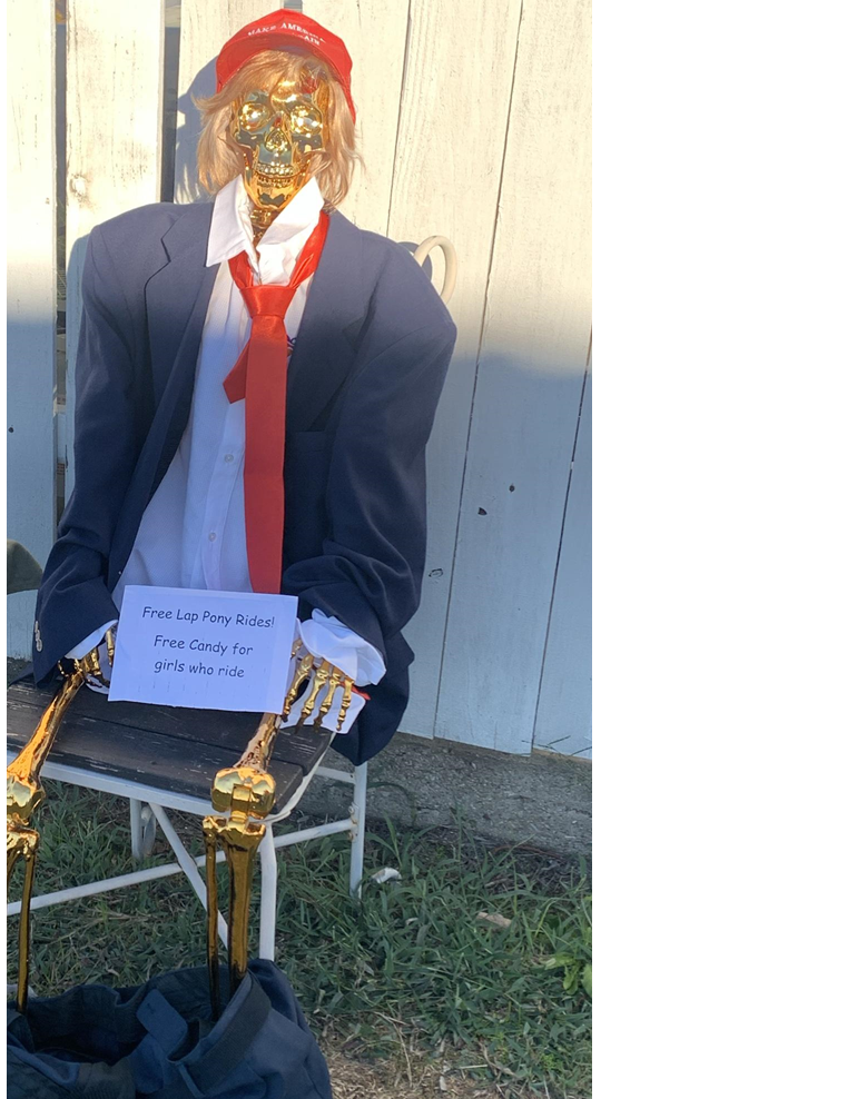 High Quality Halloween Trump Skeleton Pedophile Blank Meme Template
