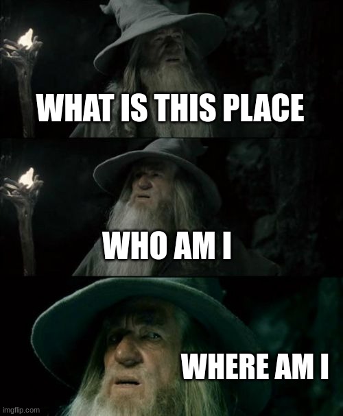 when you are reincarnated | WHAT IS THIS PLACE; WHO AM I; WHERE AM I | image tagged in memes,confused gandalf | made w/ Imgflip meme maker