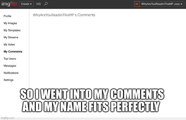 Perfect name | SO I WENT INTO MY COMMENTS AND MY NAME FITS PERFECTLY | image tagged in new template | made w/ Imgflip meme maker