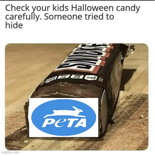 PETA terrible | image tagged in halloween candy,peta,memes,meme,hide,candy | made w/ Imgflip meme maker