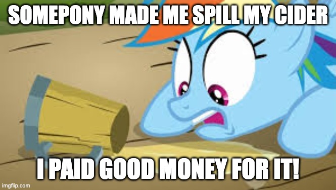 Rainbow Dash spills her cider! | SOMEPONY MADE ME SPILL MY CIDER; I PAID GOOD MONEY FOR IT! | image tagged in rainbow dash desperate for her cider,memes,my little pony,cider,rainbow dash | made w/ Imgflip meme maker