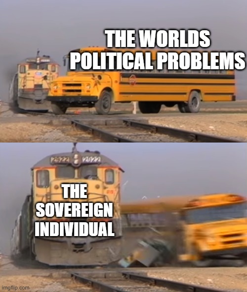 The worlds political problems | THE WORLDS POLITICAL PROBLEMS; THE SOVEREIGN INDIVIDUAL | image tagged in politics,world war 3 | made w/ Imgflip meme maker