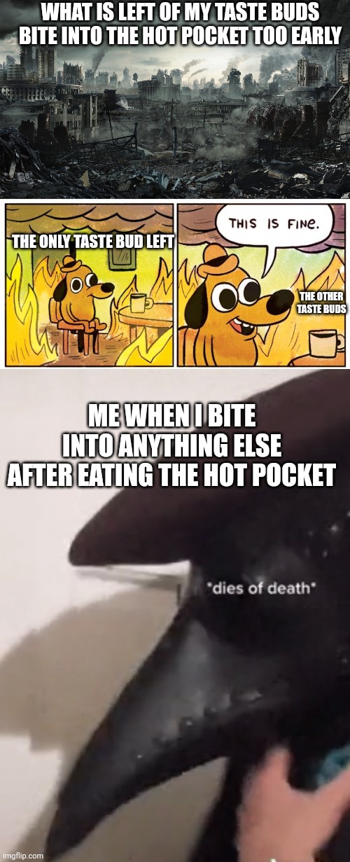 Who else experiences this STOP THE TORTURE!!!!!!!!! | WHAT IS LEFT OF MY TASTE BUDS BITE INTO THE HOT POCKET TOO EARLY; THE ONLY TASTE BUD LEFT; THE OTHER TASTE BUDS; ME WHEN I BITE INTO ANYTHING ELSE AFTER EATING THE HOT POCKET | image tagged in city destroyed,memes,this is fine,dies of death | made w/ Imgflip meme maker