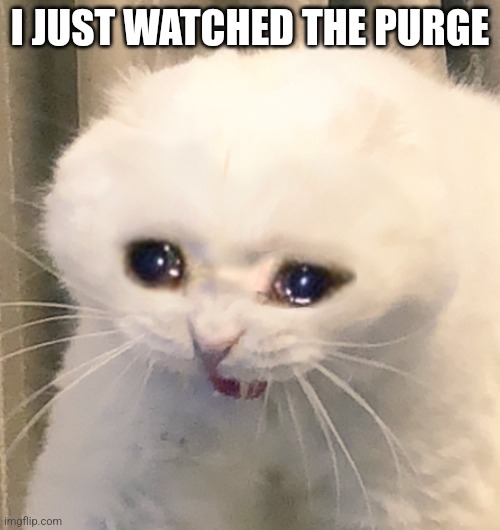 A terrifying masterpiece, jumped, screamed, and cried | I JUST WATCHED THE PURGE | image tagged in screaming crying cat | made w/ Imgflip meme maker
