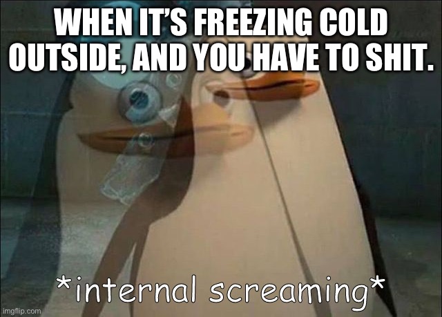 Private Internal Screaming | WHEN IT’S FREEZING COLD OUTSIDE, AND YOU HAVE TO SHIT. | image tagged in private internal screaming | made w/ Imgflip meme maker