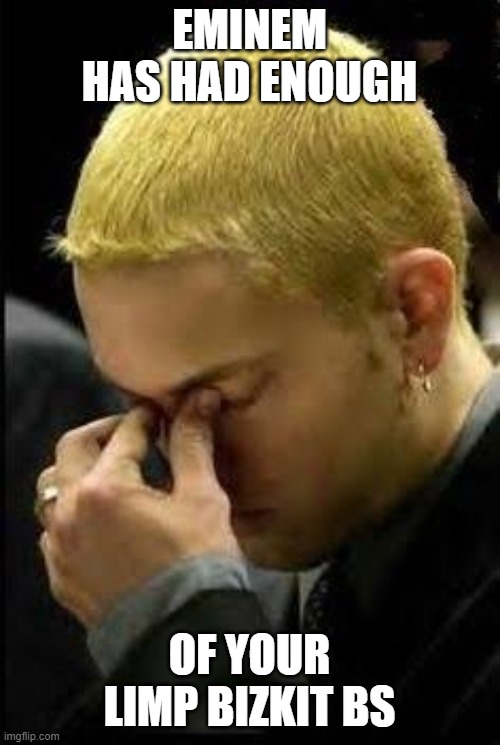 Eminem Face Palm | EMINEM HAS HAD ENOUGH OF YOUR LIMP BIZKIT BS | image tagged in eminem face palm | made w/ Imgflip meme maker