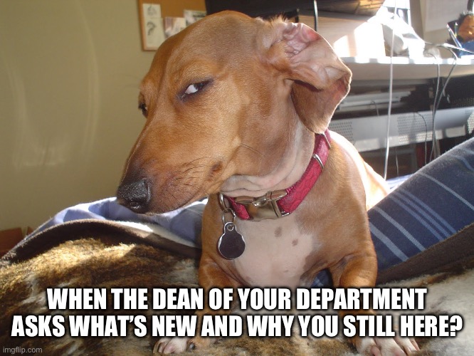 Suspicious Dog | WHEN THE DEAN OF YOUR DEPARTMENT ASKS WHAT’S NEW AND WHY YOU STILL HERE? | image tagged in suspicious dog | made w/ Imgflip meme maker