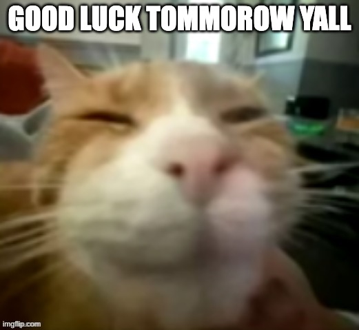 prepare for november | GOOD LUCK TOMMOROW YALL | image tagged in shitpost | made w/ Imgflip meme maker