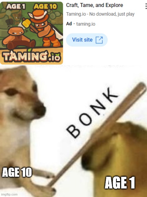 AGE 10; AGE 1 | image tagged in bonk | made w/ Imgflip meme maker