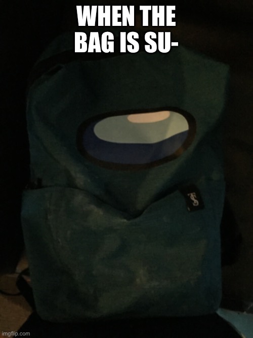 WHEN THE BAG IS SU- | made w/ Imgflip meme maker