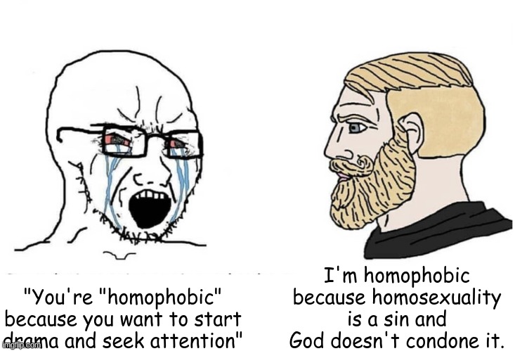 Its not that hard to understand. | I'm homophobic because homosexuality is a sin and God doesn't condone it. "You're "homophobic" because you want to start drama and seek attention" | image tagged in soyboy vs yes chad | made w/ Imgflip meme maker