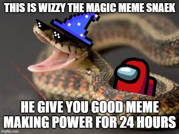wizzy | THIS IS WIZZY THE MAGIC MEME SNAEK; HE GIVE YOU GOOD MEME MAKING POWER FOR 24 HOURS | image tagged in warning snake | made w/ Imgflip meme maker