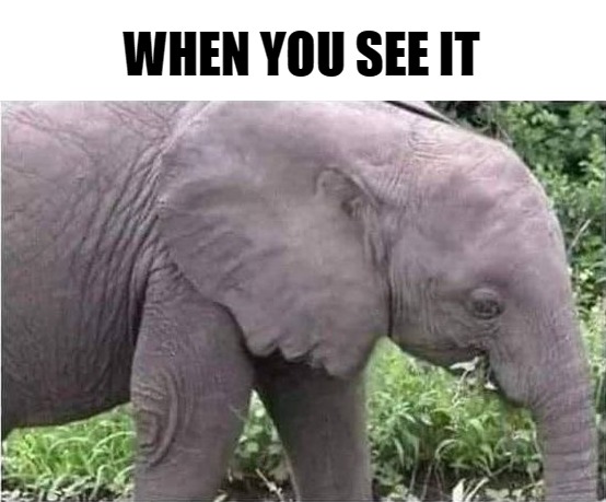 WHEN YOU SEE IT | made w/ Imgflip meme maker