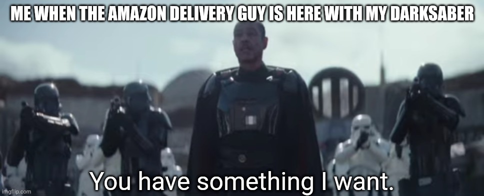 You have something I want. | ME WHEN THE AMAZON DELIVERY GUY IS HERE WITH MY DARKSABER | image tagged in you have something i want | made w/ Imgflip meme maker