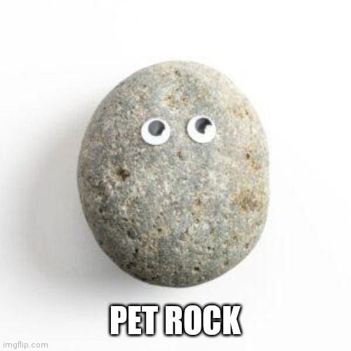 Karine Jean-Pierre | PET ROCK | image tagged in karine jean-pierre | made w/ Imgflip meme maker