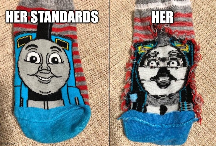 HE NEEDS A 6-PACK- | HER; HER STANDARDS | image tagged in thomas the tank engine socks,running out of ideas for tags,skibidi toilet,unicellular organism,cringe,trash | made w/ Imgflip meme maker