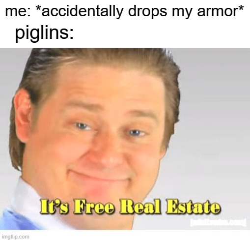 xd | me: *accidentally drops my armor*; piglins: | image tagged in it's free real estate | made w/ Imgflip meme maker