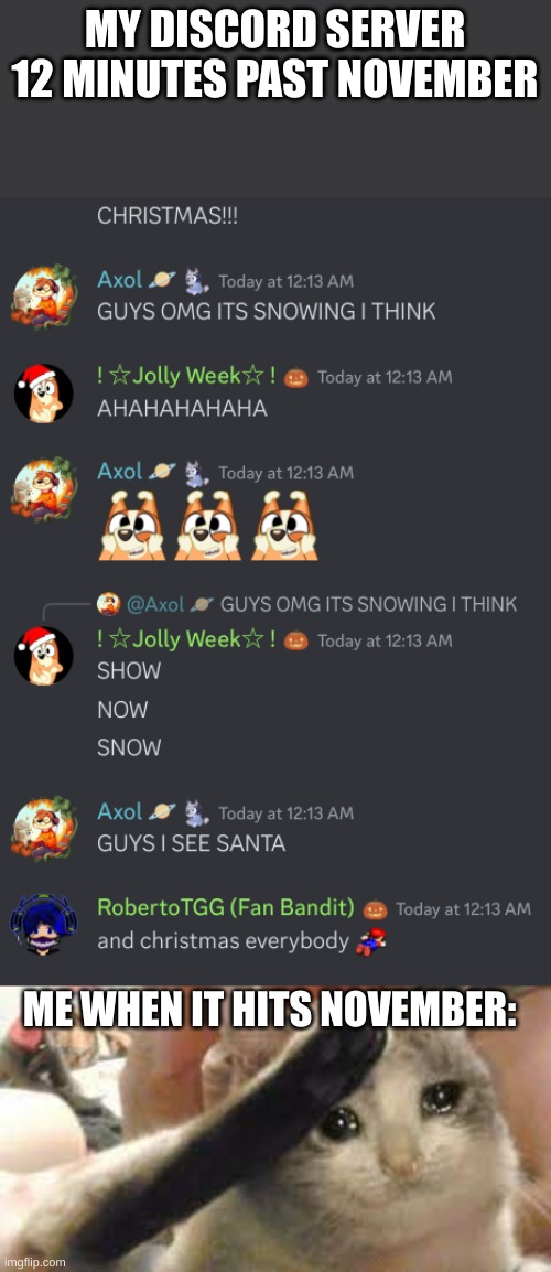 wait till AFTER remembrance day T_T NEVER FORGET | MY DISCORD SERVER 12 MINUTES PAST NOVEMBER; ME WHEN IT HITS NOVEMBER: | image tagged in saluting cat,fun,remembrance day,funny,christmas | made w/ Imgflip meme maker