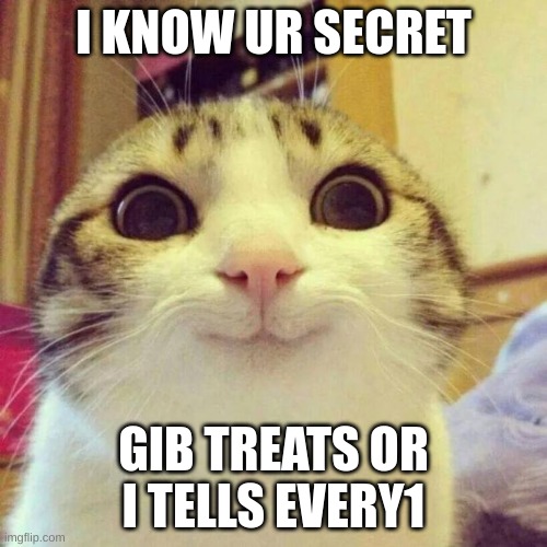 Smiling Cat Meme | I KNOW UR SECRET; GIB TREATS OR I TELLS EVERY1 | image tagged in memes,smiling cat | made w/ Imgflip meme maker