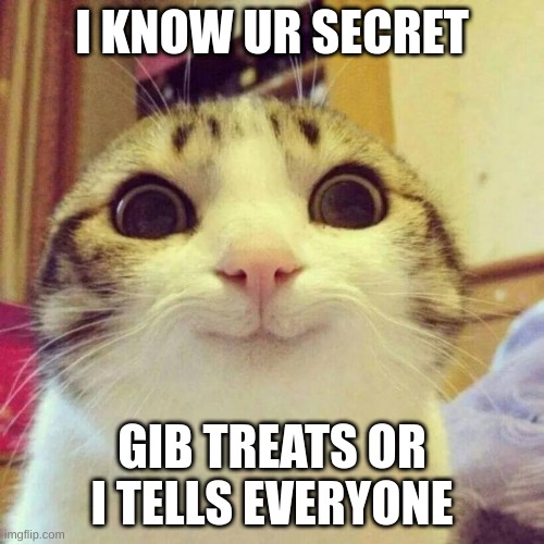 Smiling Cat Meme | I KNOW UR SECRET; GIB TREATS OR I TELLS EVERYONE | image tagged in memes,smiling cat | made w/ Imgflip meme maker