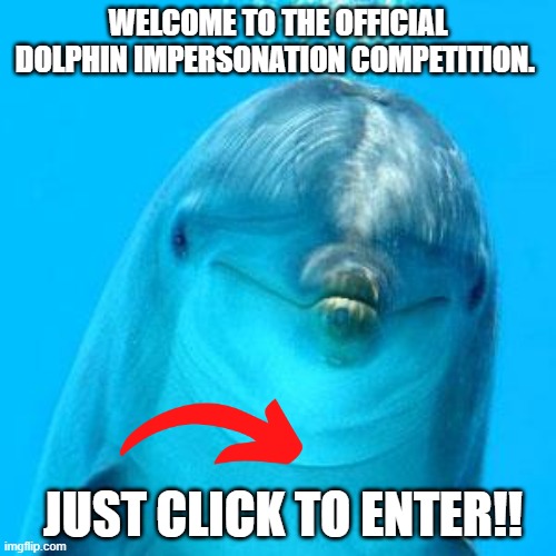 dolphin don't play games | WELCOME TO THE OFFICIAL DOLPHIN IMPERSONATION COMPETITION. JUST CLICK TO ENTER!! | image tagged in dolphin don't play games | made w/ Imgflip meme maker