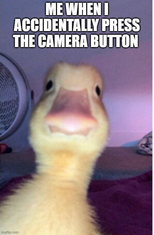 im ugly bro | ME WHEN I ACCIDENTALLY PRESS THE CAMERA BUTTON | image tagged in ducker | made w/ Imgflip meme maker